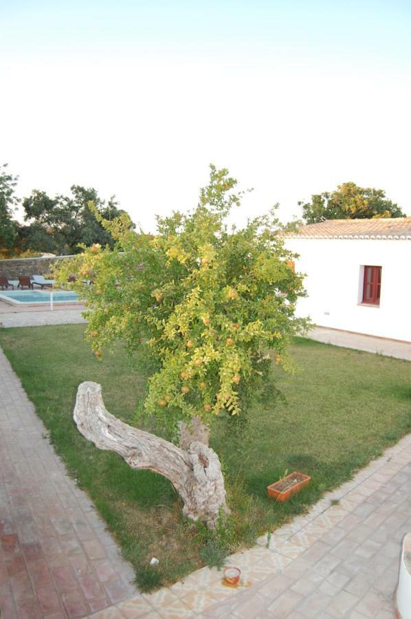 מלון בולקיאמה Casa Da Escola מראה חיצוני תמונה